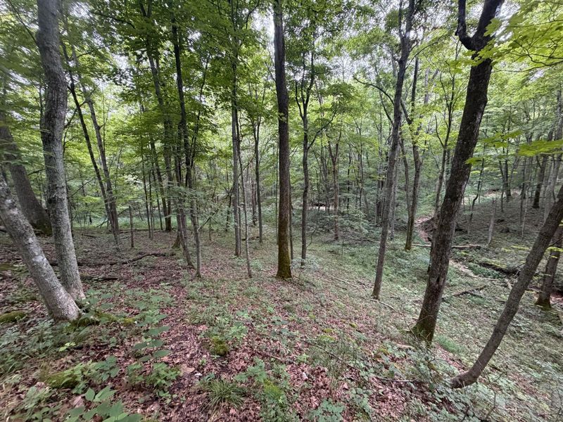 17883 State Route 41 , West Union, OH 45693 Photo 41