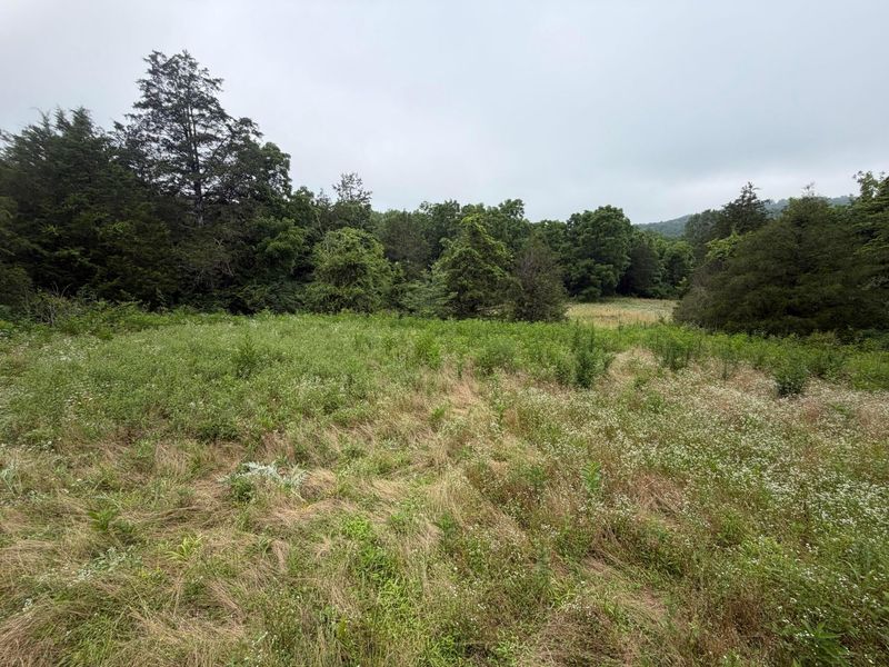 17883 State Route 41 , West Union, OH 45693 Photo 48