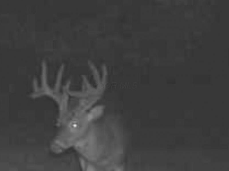 17883 State Route 41 , West Union, OH 45693 Photo 60
