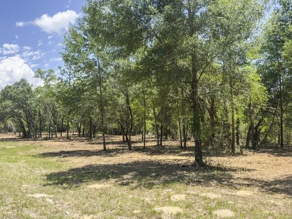 NE 75th St, Williston, FL 32696