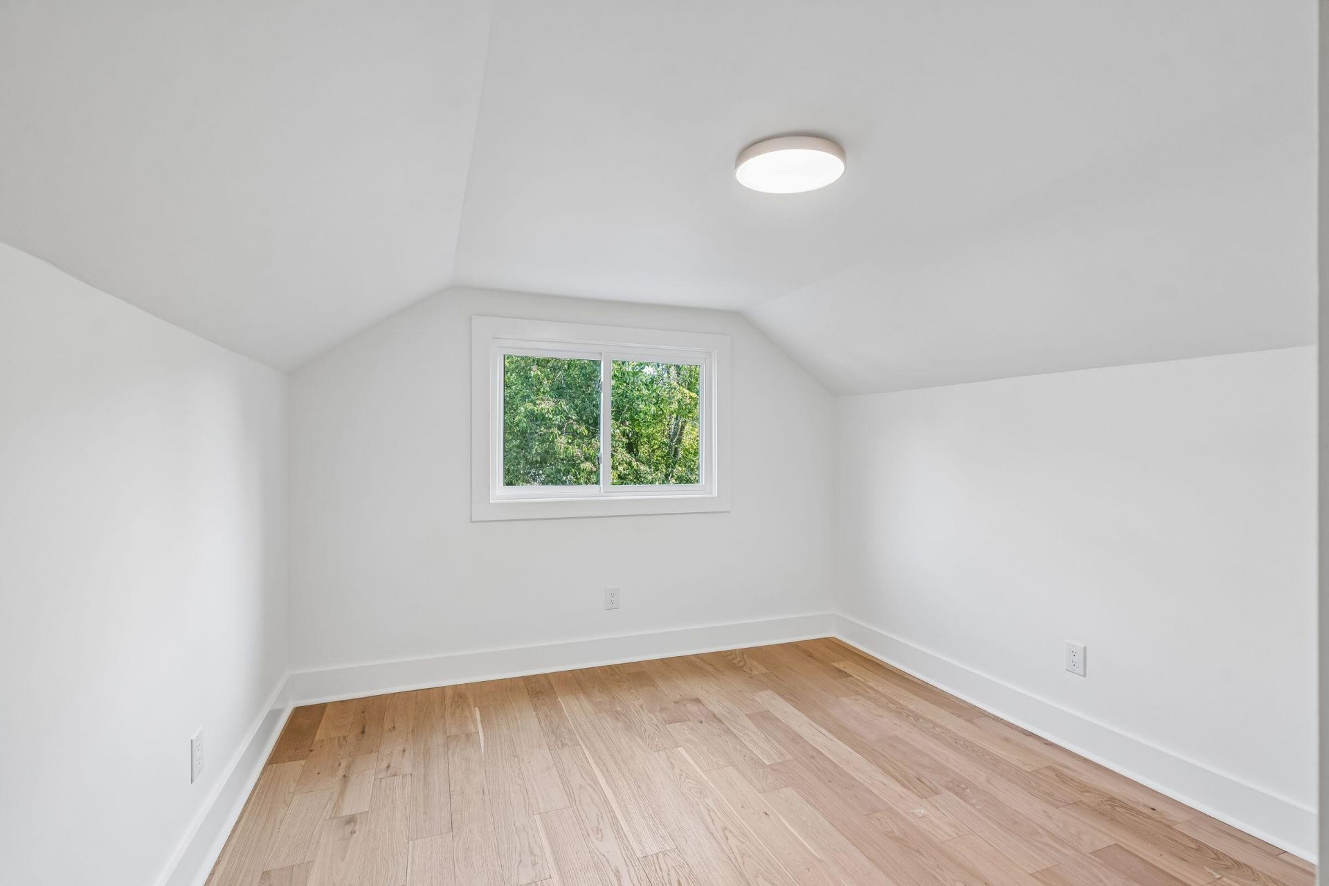 318 Lamont Road Photo 47
