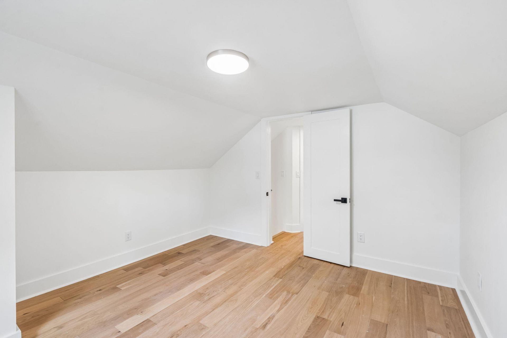 318 Lamont Road Photo 50