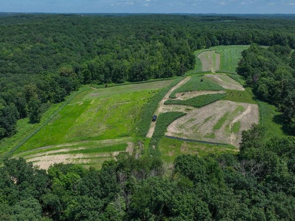 77.85 AC Pine Avenue, Hillsboro, WI 54634