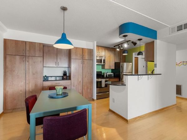 1920 S 1st Street, Unit 1903, Minneapolis, MN 55454