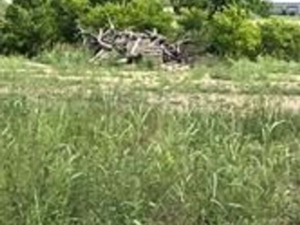TBD Barnhardt RD, Temple, TX 76502