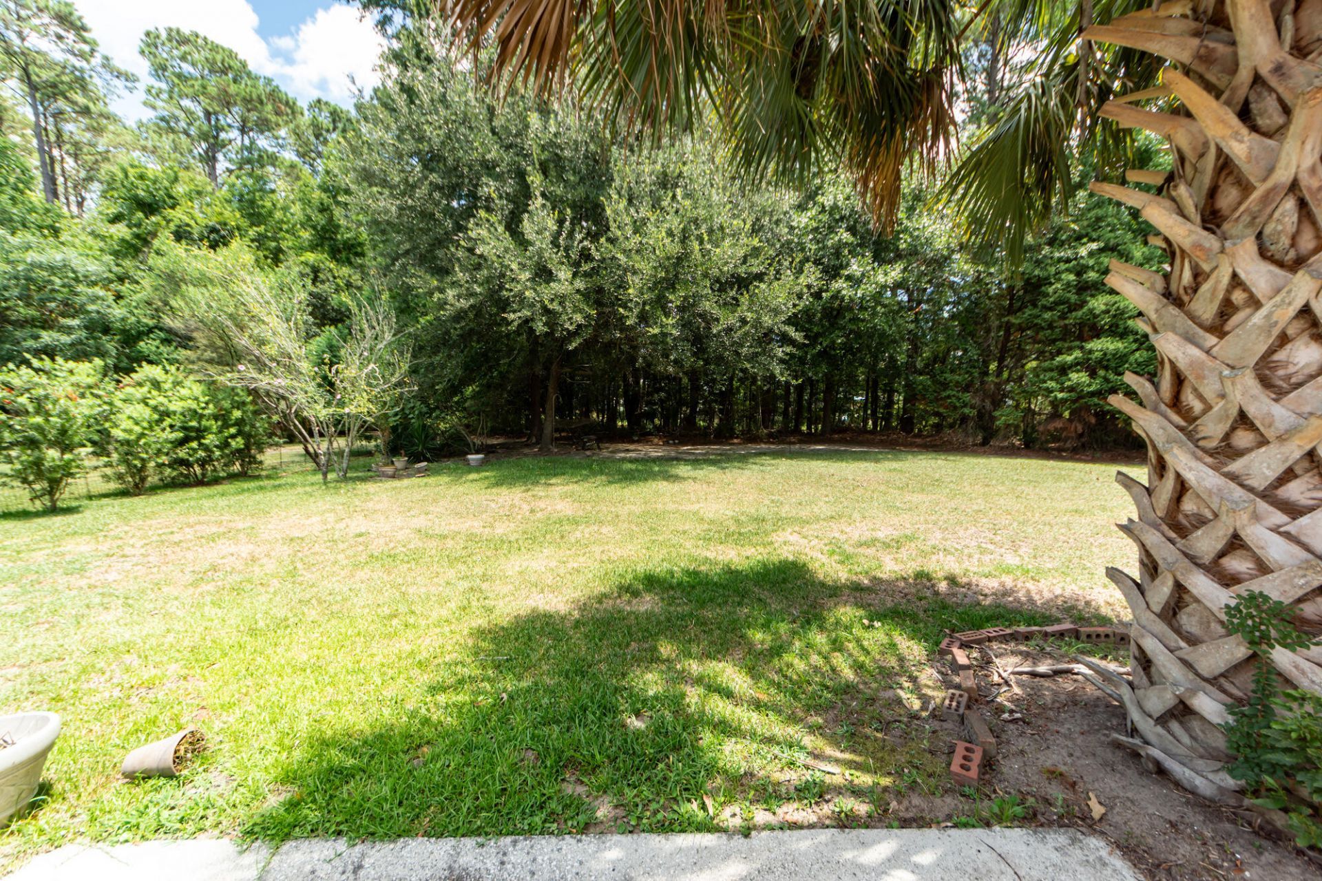 2776 Palmetto Hall Boulevard Photo 30
