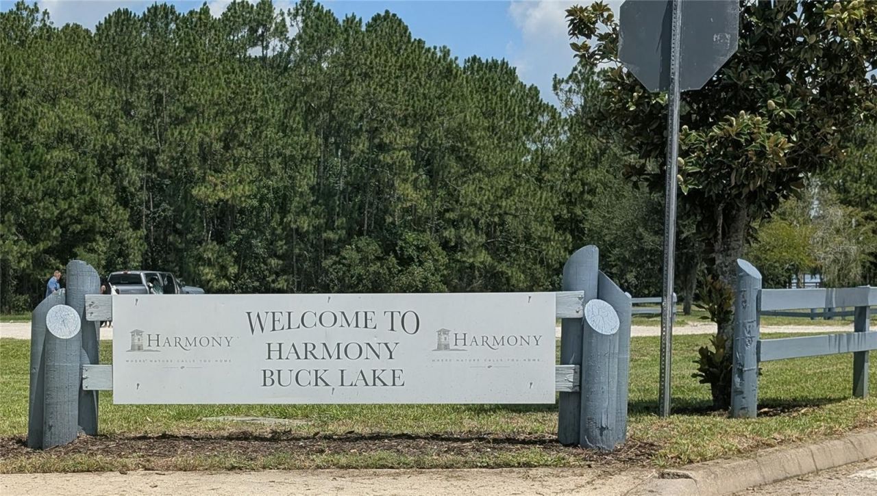 3214 Needlegrass Lane, Harmony, FL 34773 Photo