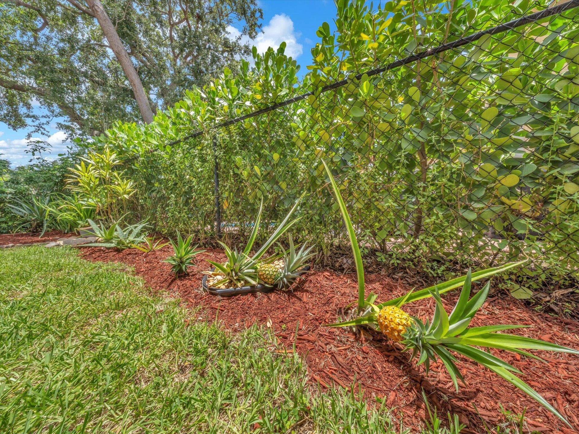 6029 NW 74th Street, Parkland, FL 33067 Photo