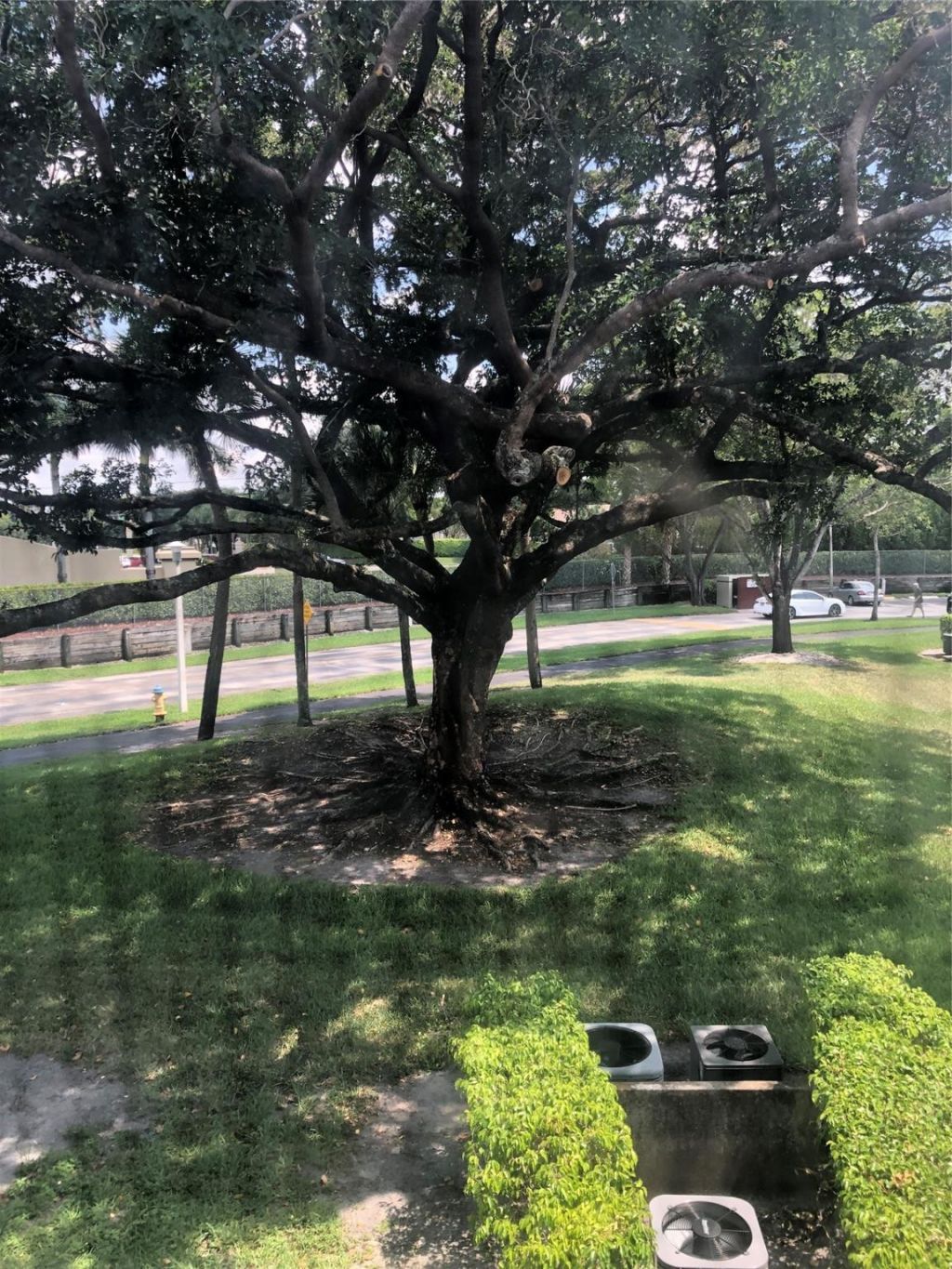 151 SW 135th Terrace, Unit 203t, Pembroke Pines, FL 33027 Photo