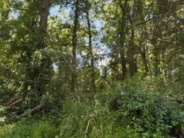 742 Townsbury Rd, Mansfield, NJ 07838