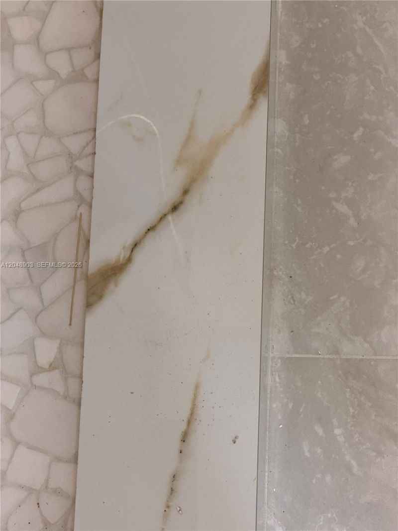 725 SW 1st Ave, Unit 1, Homestead, FL 33030 Photo