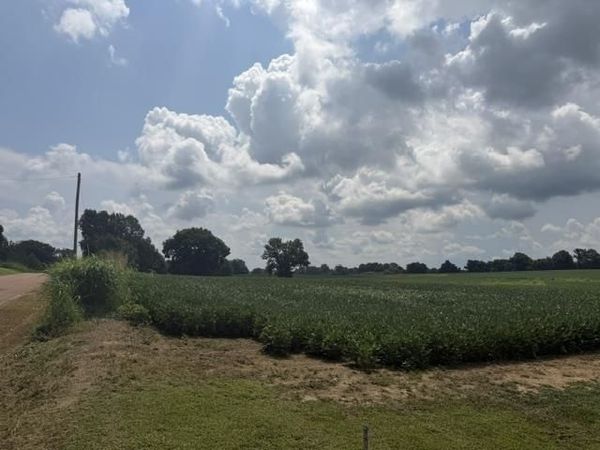 000 OIL MILL RD, Covington, TN 38019