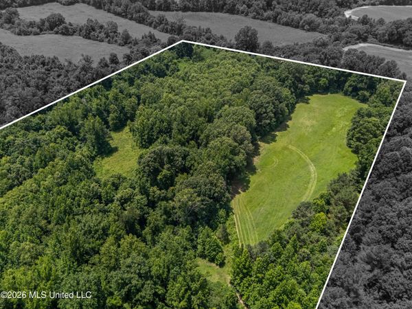 0 Freeman Drive, Coldwater, MS 38618