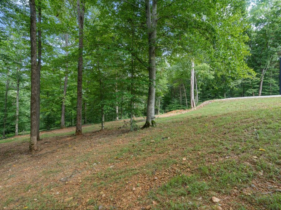 Property Image 87