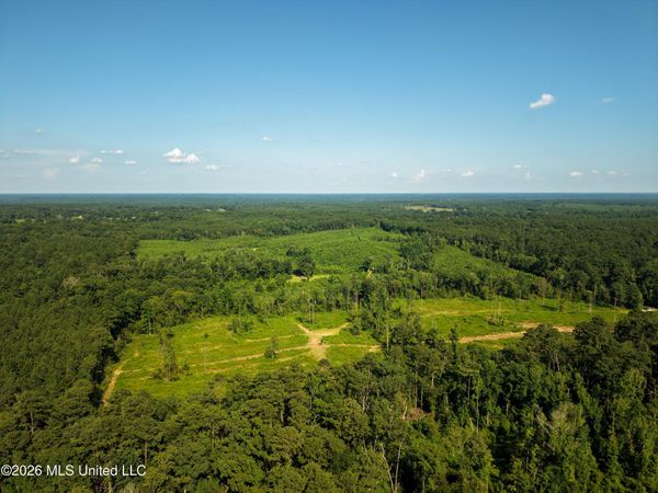 Lower Liberty Gloster Road, Liberty, MS 39645