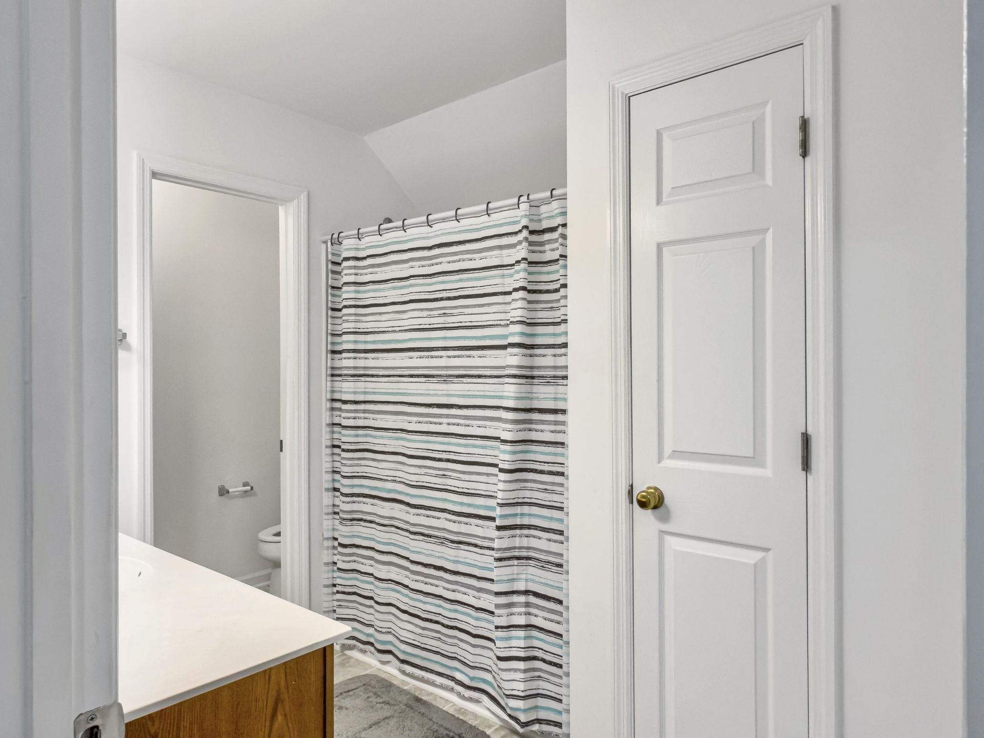 5235 Fernland Way Photo 24