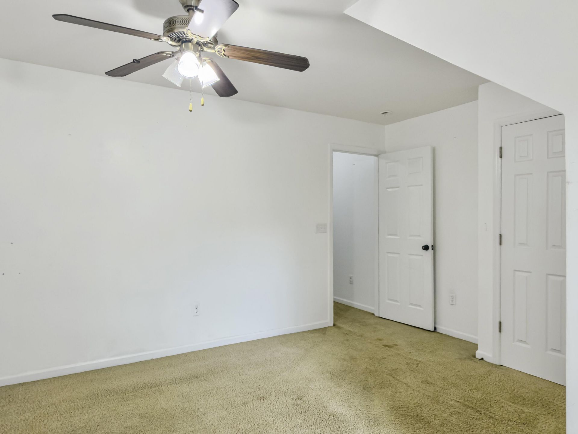 5235 Fernland Way Photo 25