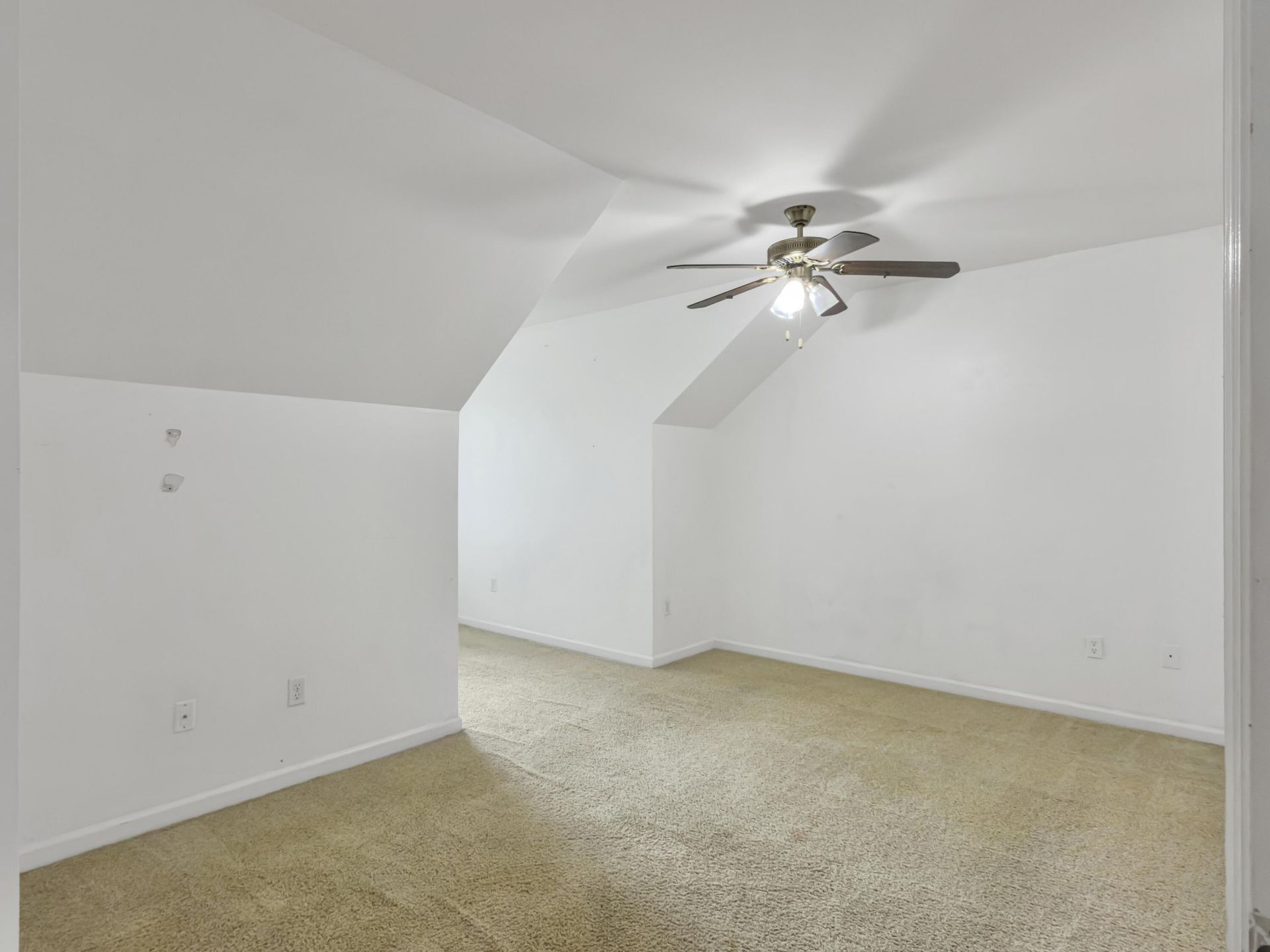5235 Fernland Way Photo 29