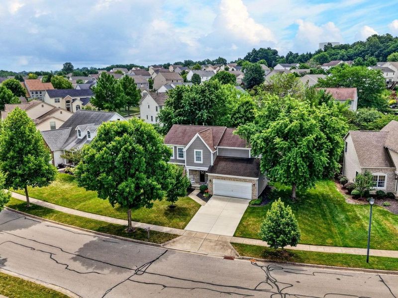 7482 Williamson Lane, Canal Winchester, OH 43110 Photo 57