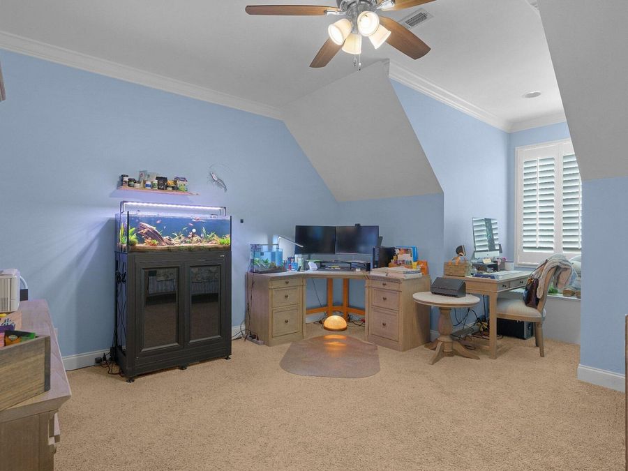 Property Image 59