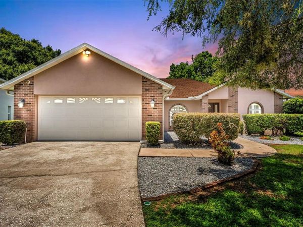 2219 TOWERING OAKS CIRCLE , SEFFNER, FL 33584