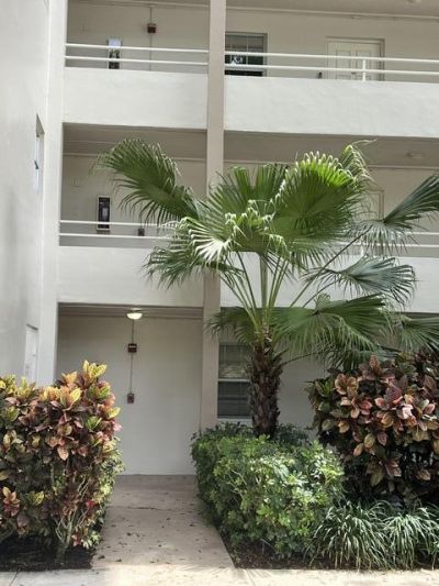 3800 Oaks Clubhouse Drive, Unit 112, Pompano Beach, FL 33069 Photo