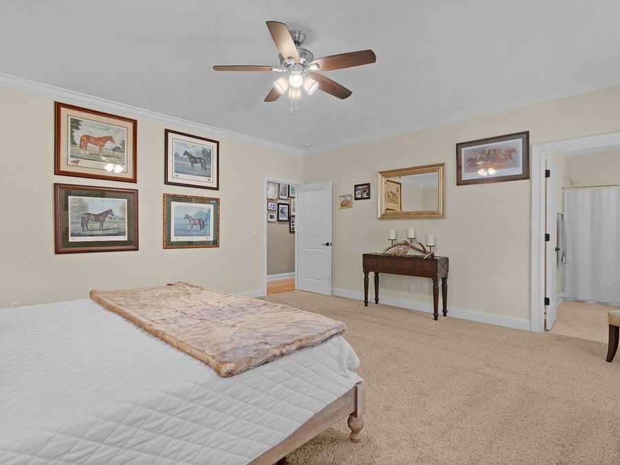 Property Image 67
