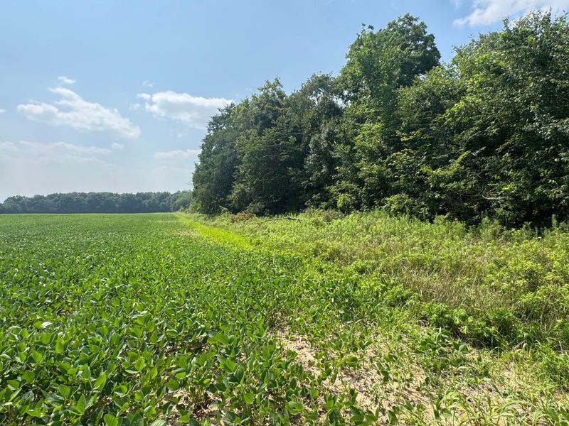0 US Rt 250 , Ashland, OH 44805 Photo 10