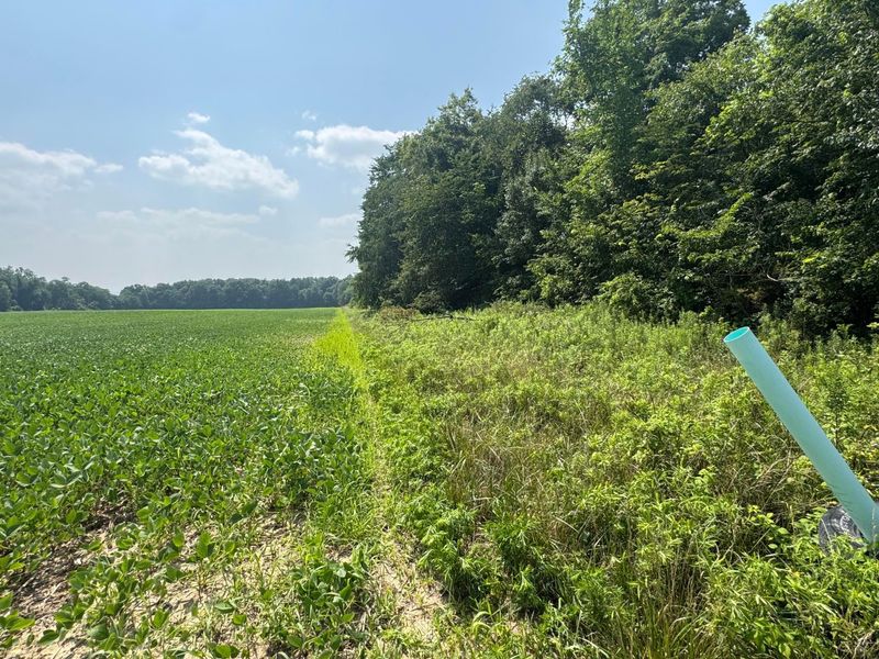 0 US Rt 250 , Ashland, OH 44805 Photo 11