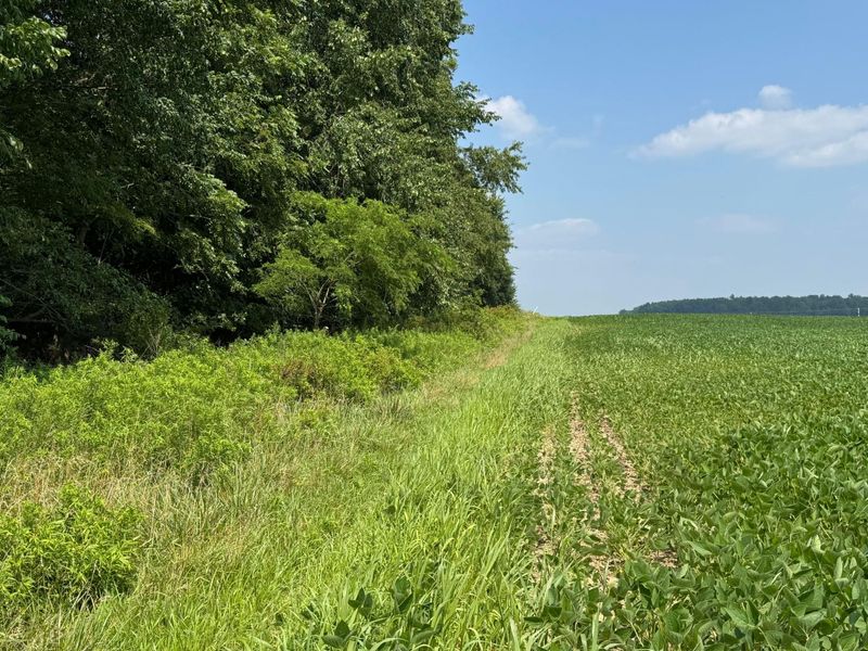 0 US Rt 250 , Ashland, OH 44805 Photo 12