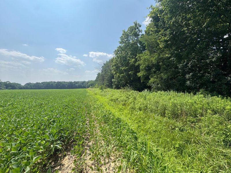 0 US Rt 250 , Ashland, OH 44805 Photo 13