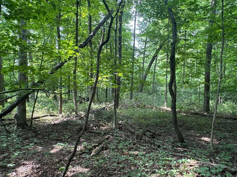 0 US Rt 250 , Ashland, OH 44805 Photo 14