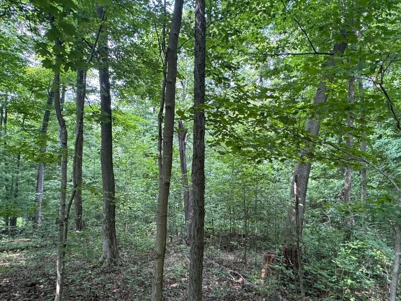 0 US Rt 250 , Ashland, OH 44805 Photo 15