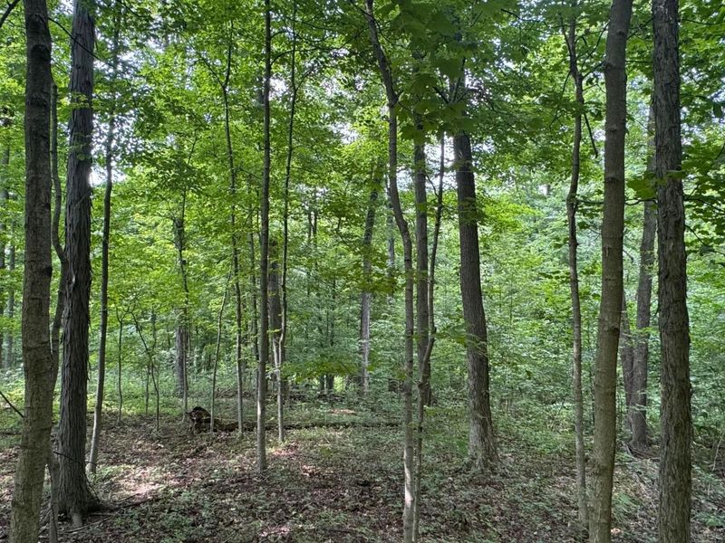 0 US Rt 250 , Ashland, OH 44805 Photo 16
