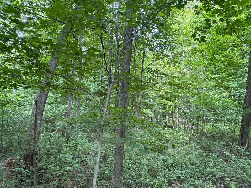 0 US Rt 250 , Ashland, OH 44805 Photo 17