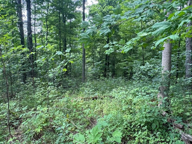 0 US Rt 250 , Ashland, OH 44805 Photo 18