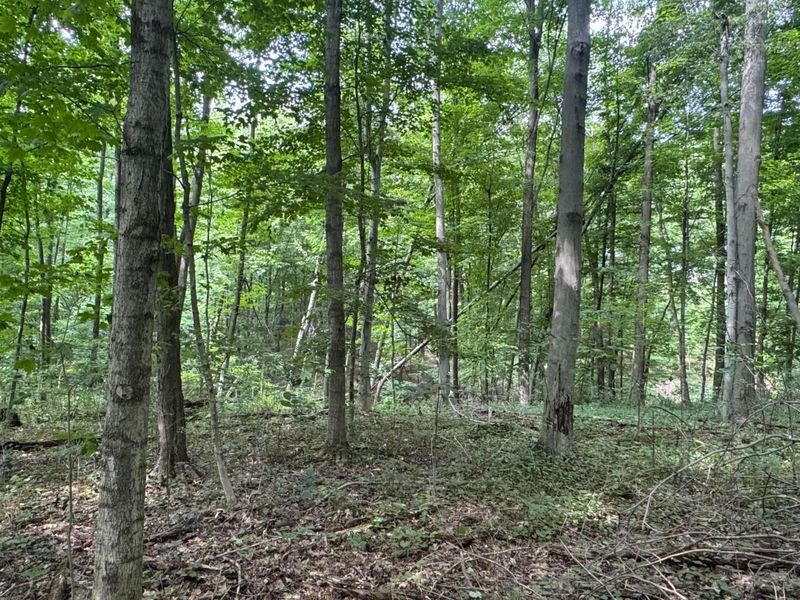 0 US Rt 250 , Ashland, OH 44805 Photo 5