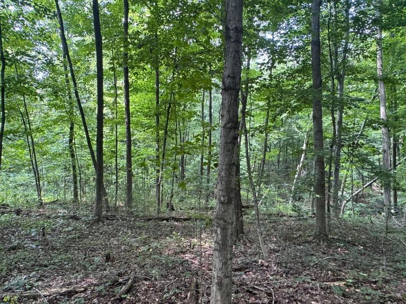 0 US Rt 250 , Ashland, OH 44805 Photo 6