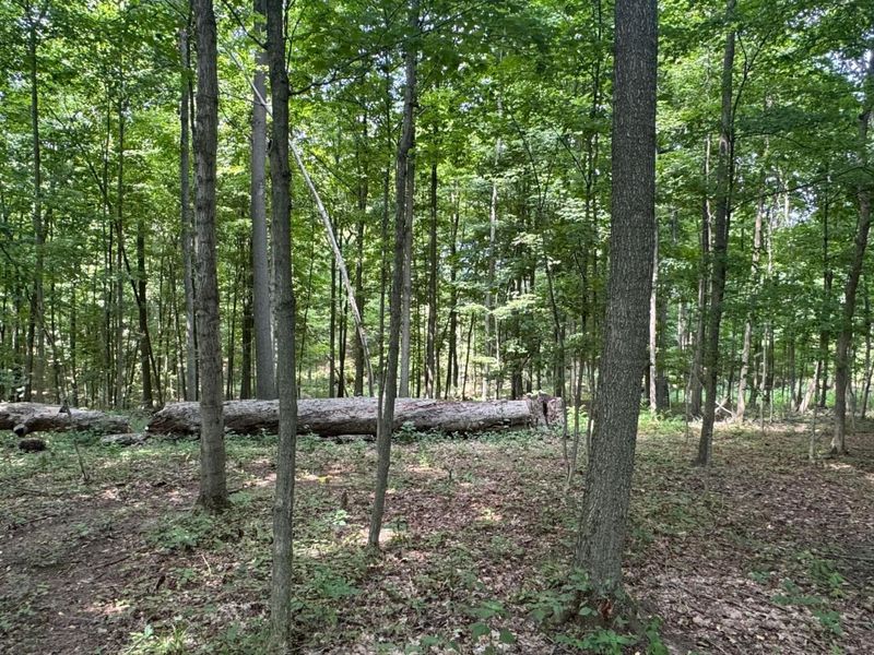 0 US Rt 250 , Ashland, OH 44805 Photo 8