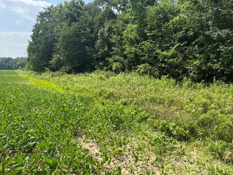 0 US Rt 250 , Ashland, OH 44805 Photo 9