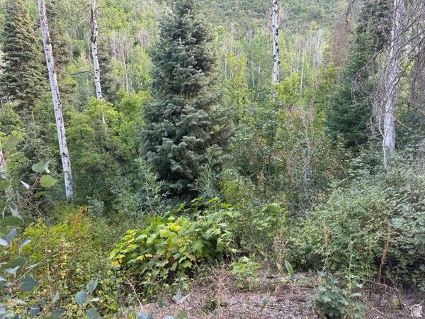 819 NORTH FORK RD, Unit 819, Mt Pleasant, UT 84629