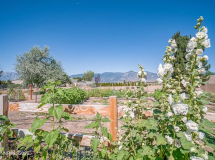 2556 Henning Lane, Minden, NV 89423 Photo