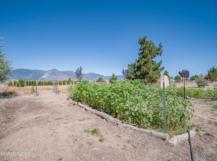 2556 Henning Lane, Minden, NV 89423 Photo