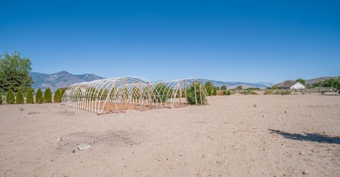 2556 Henning Lane, Minden, NV 89423 Photo
