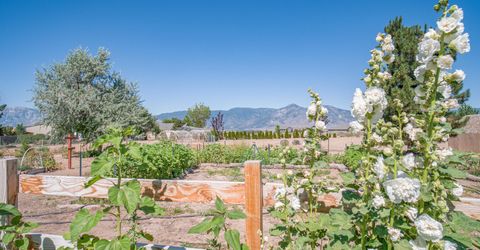 2556 Henning Lane, Minden, NV 89423 Photo