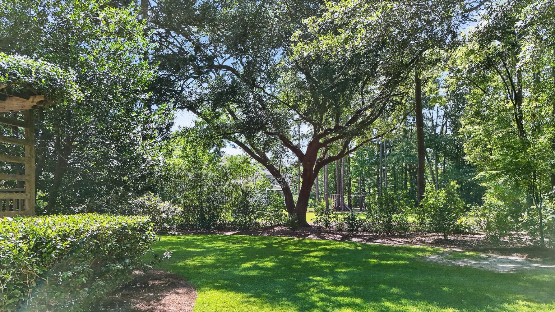 1007 King Mountain Drive Photo 13