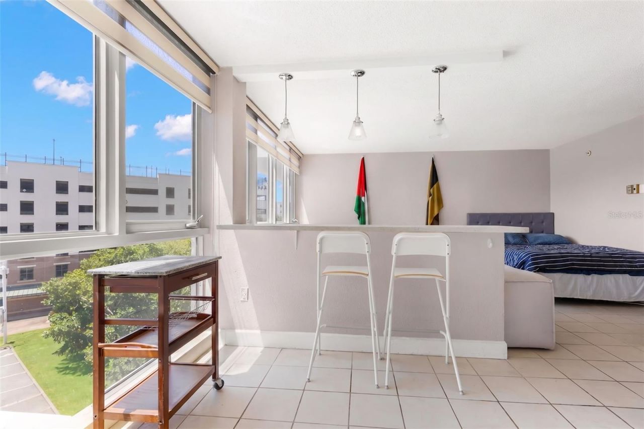 470 3rd Street S, Unit 515, Saint Petersburg, FL 33701 Photo