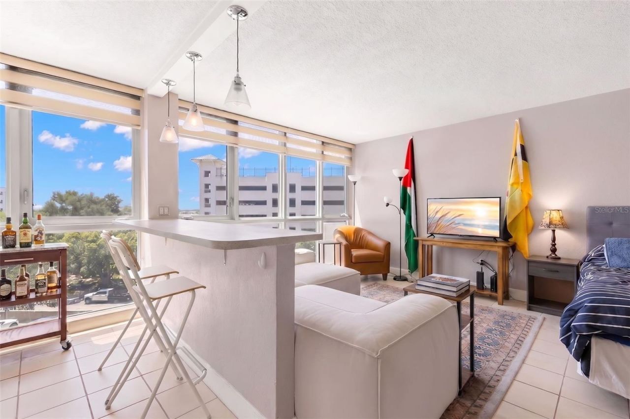 470 3rd Street S, Unit 515, Saint Petersburg, FL 33701 Photo