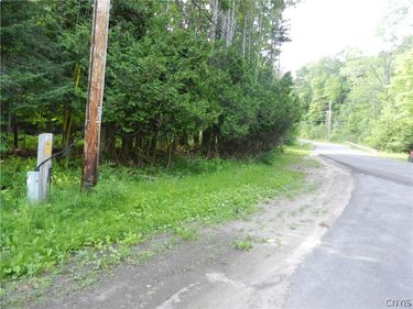00 Bingham Mills Rd, Stafford, NY 13470