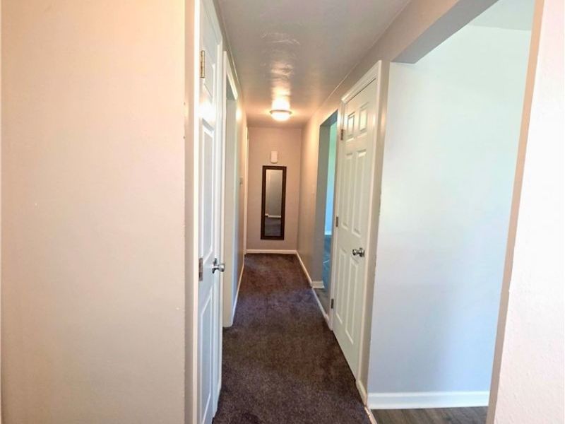 329 Thomas Street, Wintersville, OH 43953 Photo 20